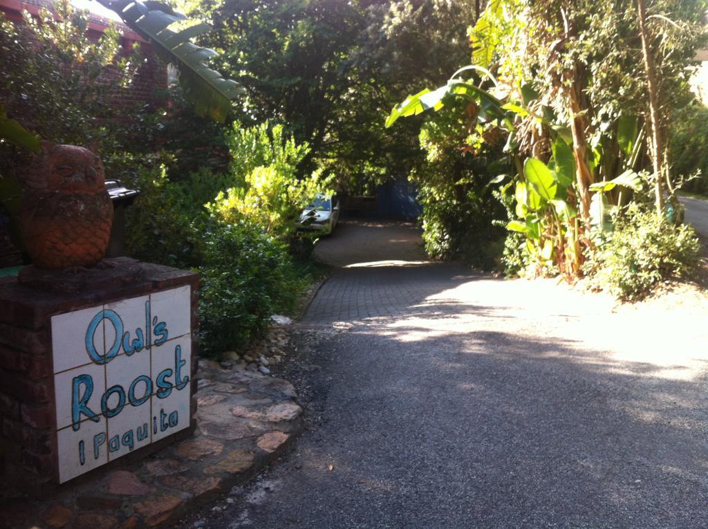 Turaco Appartement Knysna Buitenkant foto